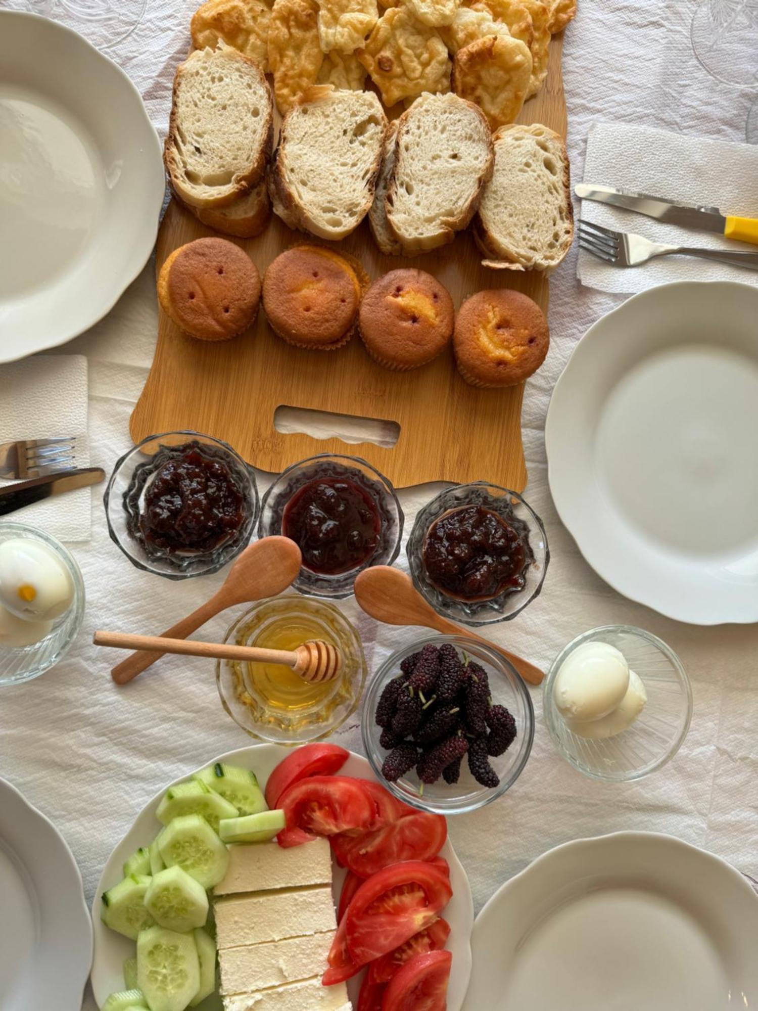 Qyteza Guest House & Camping Shkodër Eksteriør billede