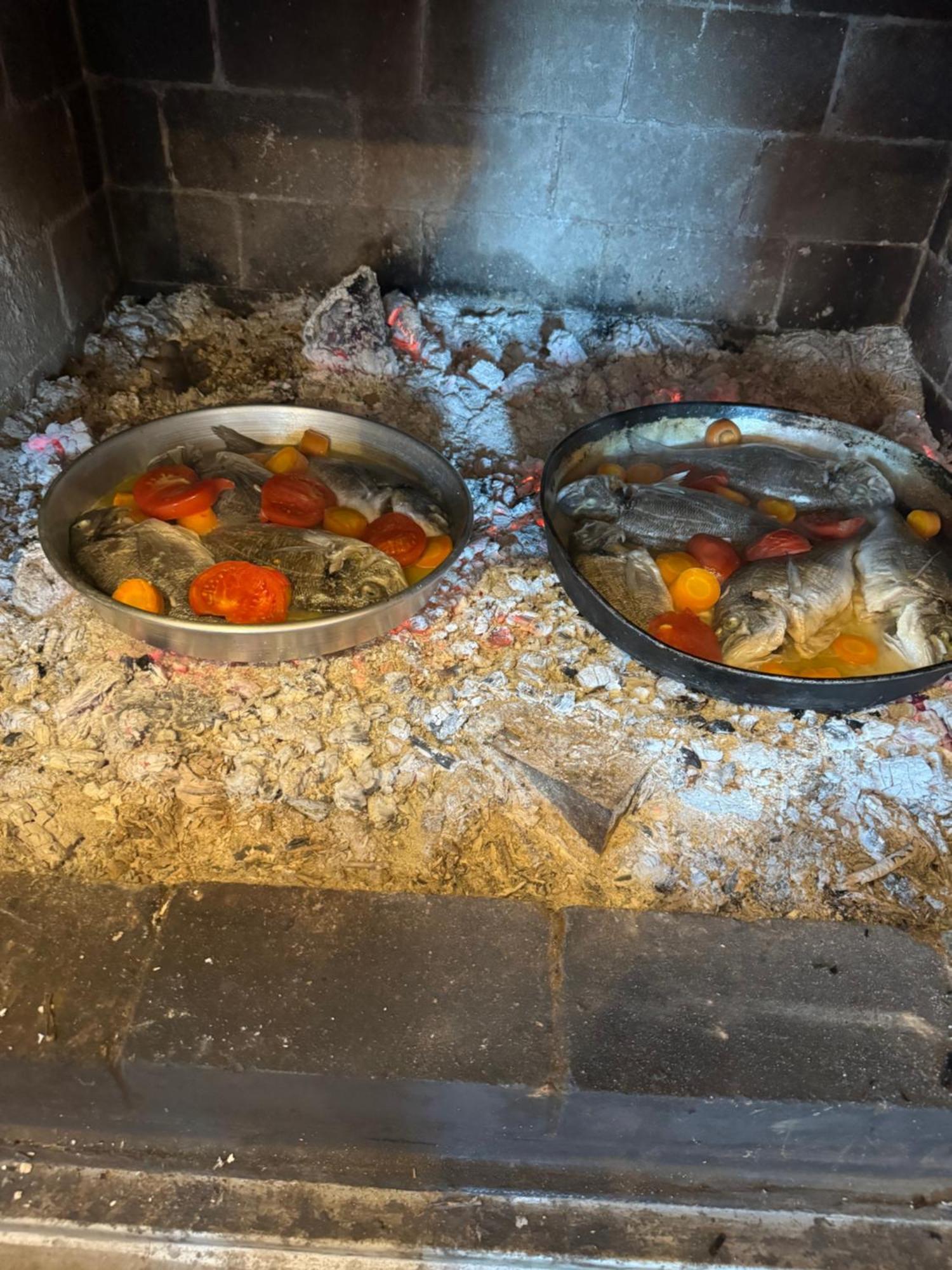 Qyteza Guest House & Camping Shkodër Eksteriør billede
